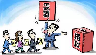 最新強制捐款,愛與陪伴的交織旅程