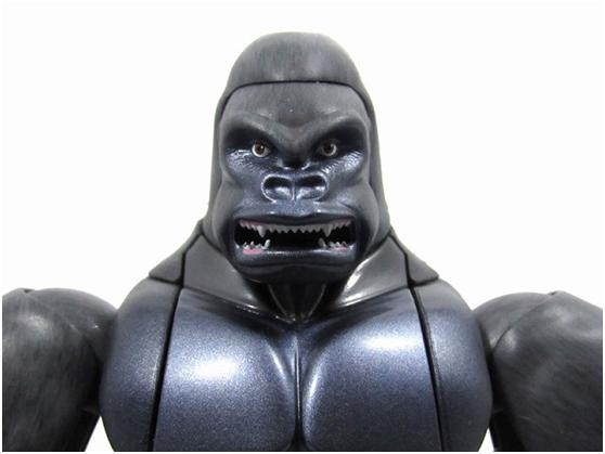 金剛猩猩最新研究動(dòng)態(tài)與重大發(fā)現(xiàn)概述