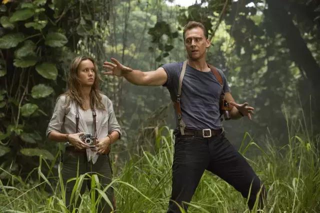 金剛猩猩最新研究動態與重大發現概述