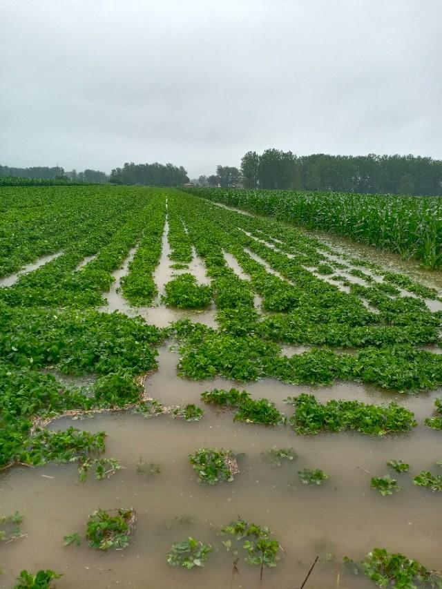 應對暴雨天氣的步驟指南,從初學者到進階用戶的全方位指南(最新暴雨應對資訊)