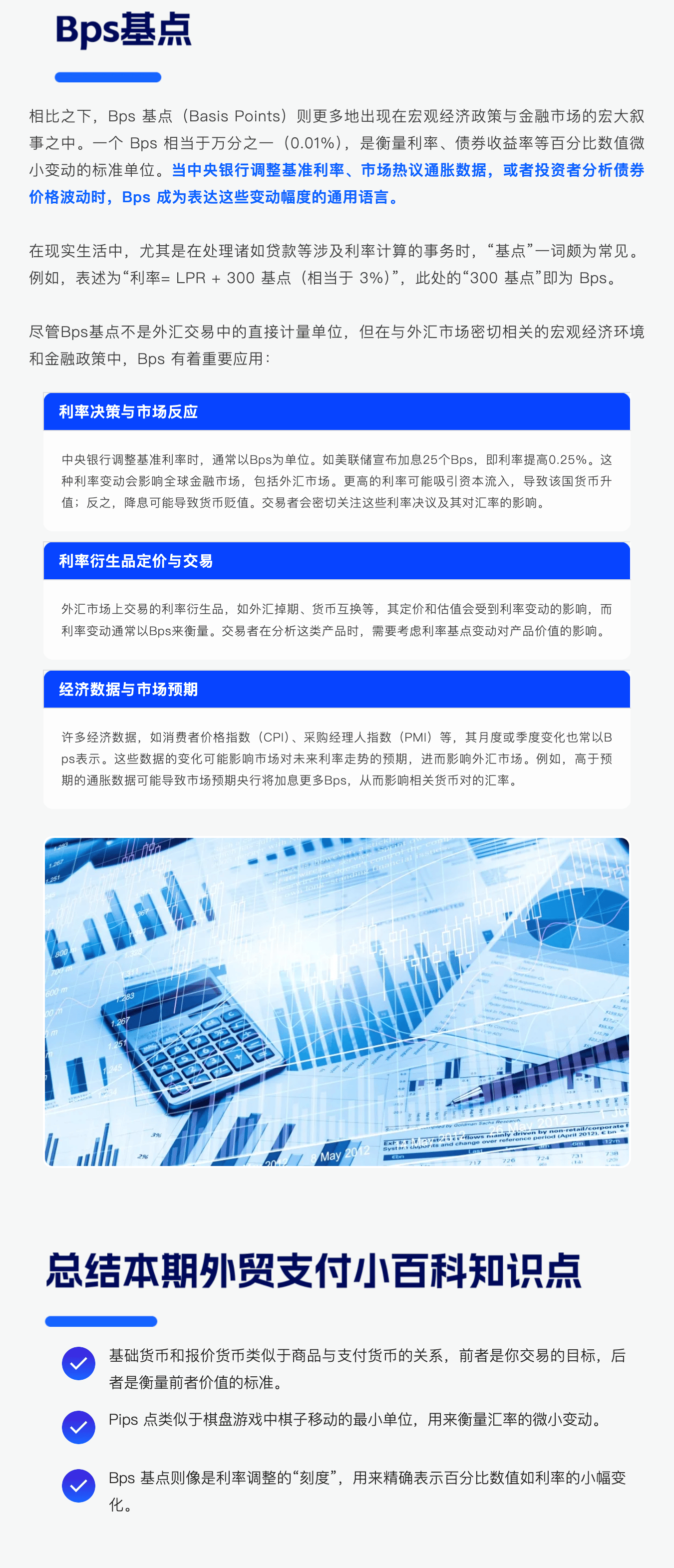 BP最新基點解析，觀點闡述與趨勢分析