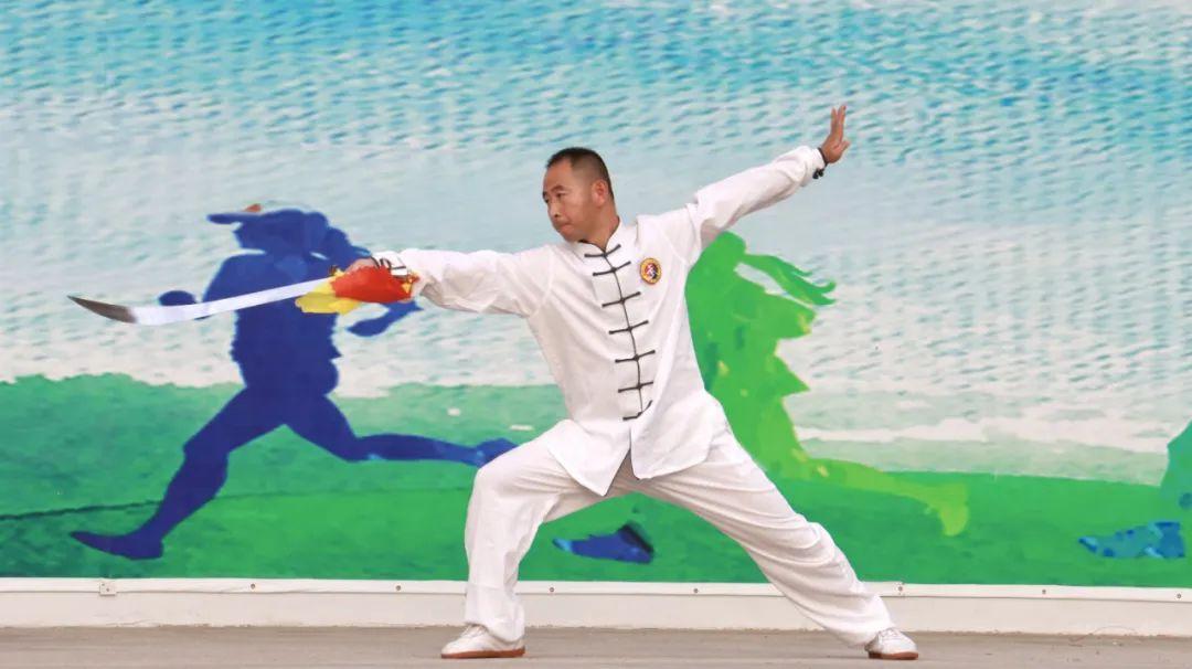 天人組織的最新揭秘，小巷中的隱藏瑰寶