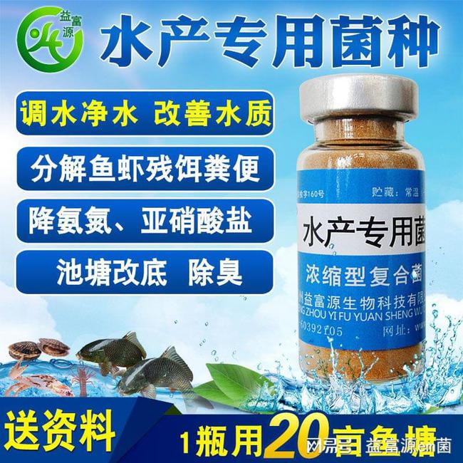 碘制劑最新進展，小巷深處的神秘寶藏探索