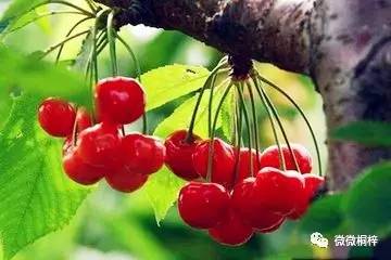 最新鮮自然之旅,一場絕美風(fēng)景的沉浸式體驗(yàn)