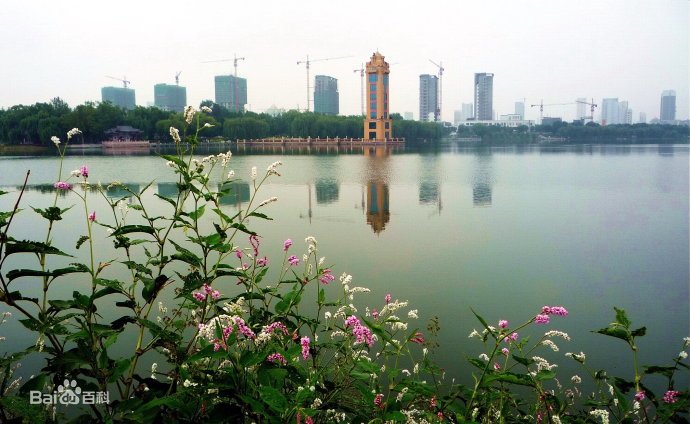 最新昌樂，背景、事件與地位的深度解讀