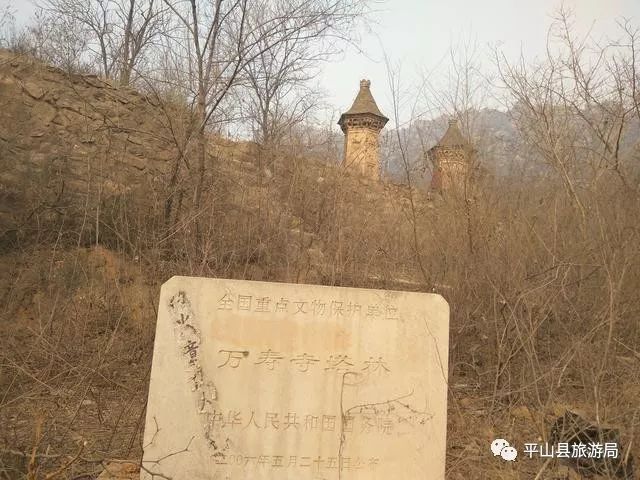 最新唐墓,歷史長(zhǎng)河中的璀璨明珠