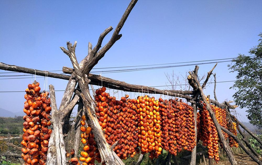 甘乃最新高科技產品重塑未來生活體驗的創新力量