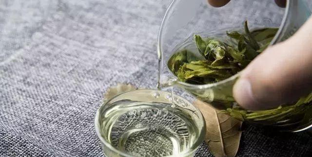 最新泡茶法詳解，一步步指南引領你掌握泡茶技巧