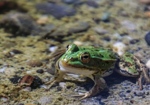 印刷環(huán)評(píng) 第37頁