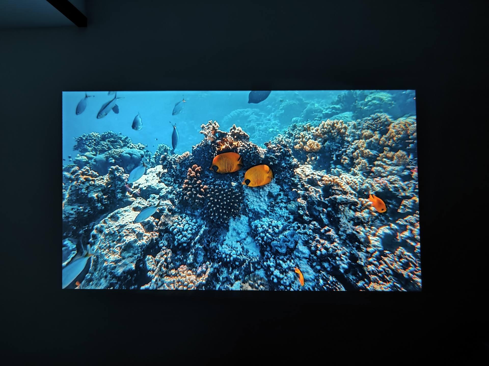 大白影音最新動態,時代之聲的崛起及其深遠影響