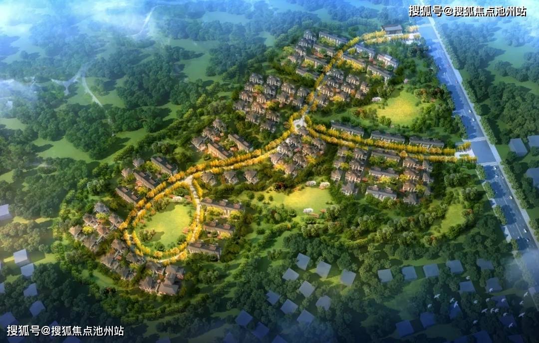 龍湖最新動態揭秘，聚焦發展，展望未來發展走向