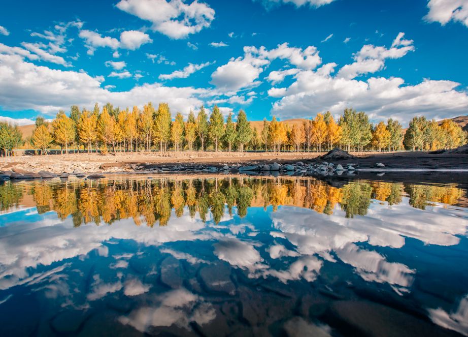 稻城最新疫情動態分析與更新