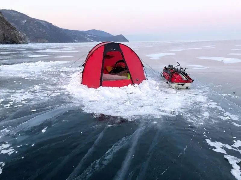 稻城最新疫情動態分析與更新