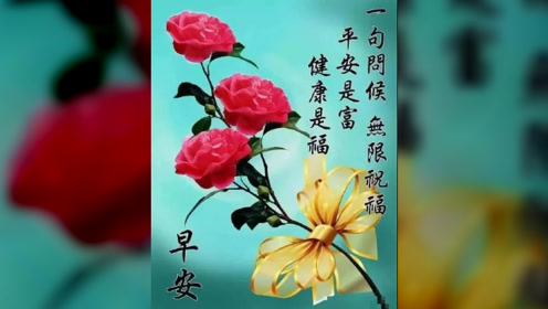 清晨寄語(yǔ)，巷弄深處的獨(dú)特味道，喚醒心靈的力量