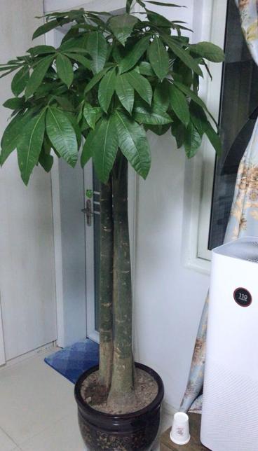 技術(shù)革新填充繩，探討最新填充繩技術(shù)及其實(shí)際應(yīng)用