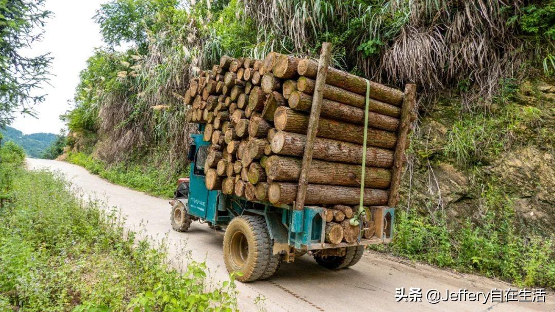 梅子鎮(zhèn)，自然美景的探索之旅，尋找內(nèi)心的平和與喜悅