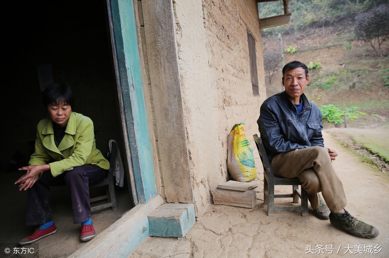 梅子鎮(zhèn),自然美景的探索之旅,尋找內(nèi)心的平和與喜悅