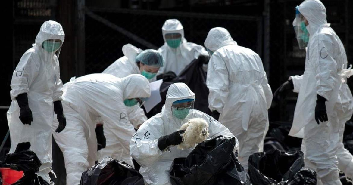 疫情下的心靈慰藉，一場尋找內心平靜的綠色旅行