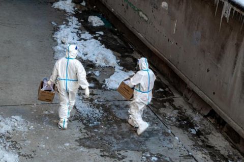 疫情下的心靈慰藉,一場尋找內心平靜的綠色旅行