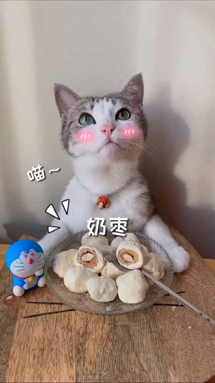 最新聲控喵，自然美景探險(xiǎn)之旅，尋找內(nèi)心的平和與寧靜