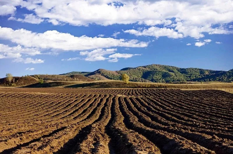 最新占用耕地的影響及應對之策