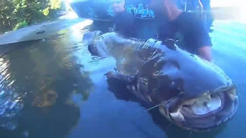 最新超級巨,心靈平靜之旅的探險啟程