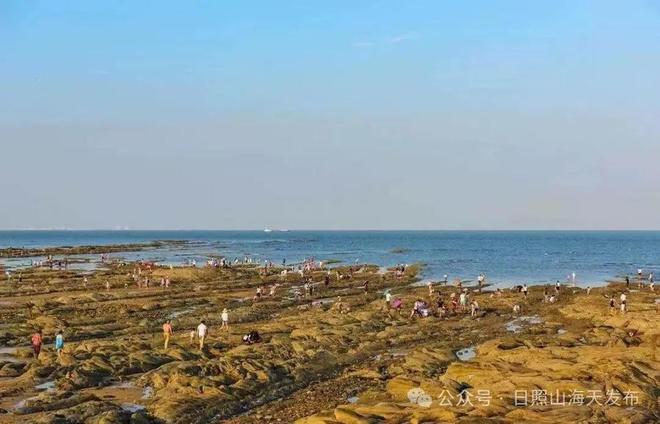 日照趕海最新詳細步驟指南，探索趕海新體驗！