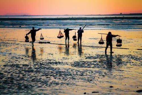 日照趕海最新詳細步驟指南,探索趕海新體驗!