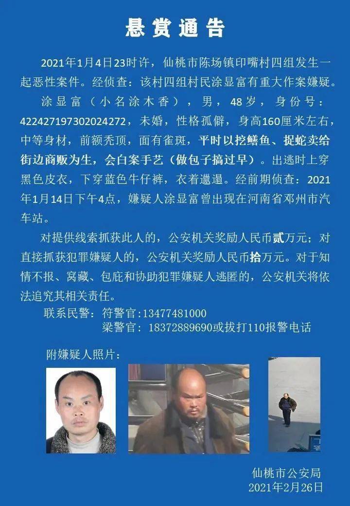 仙桃最新懸賞,探索自然美景之旅,尋找內心平和之地