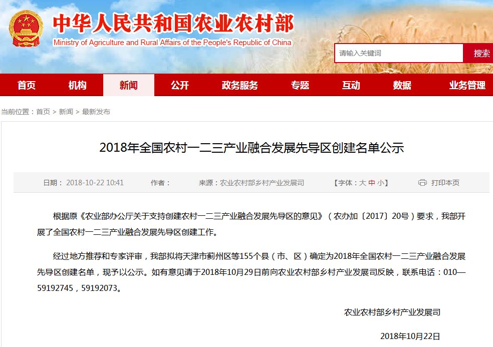 雞澤最新網,友情小窩與溫馨陪伴的聚集地