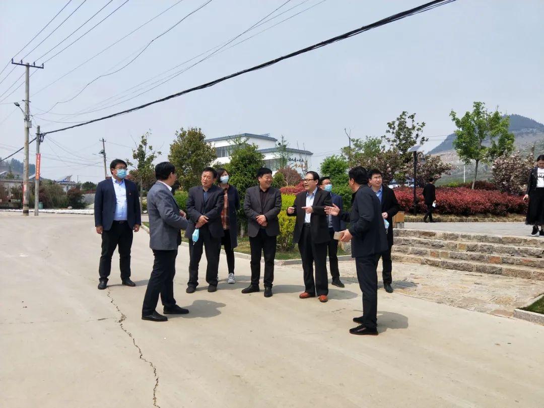 榆樹最新疫情深度解析與觀點闡述